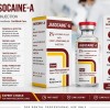 Pharmaceuticals