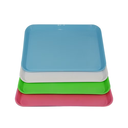 Dental Plastic Instrument Trays