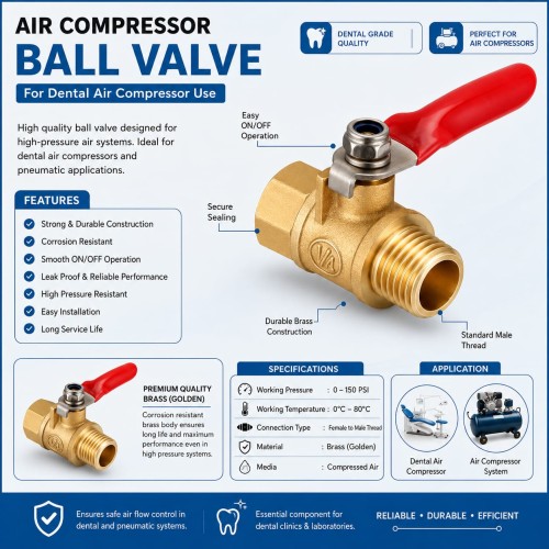 Air Compressor Valve 1/4